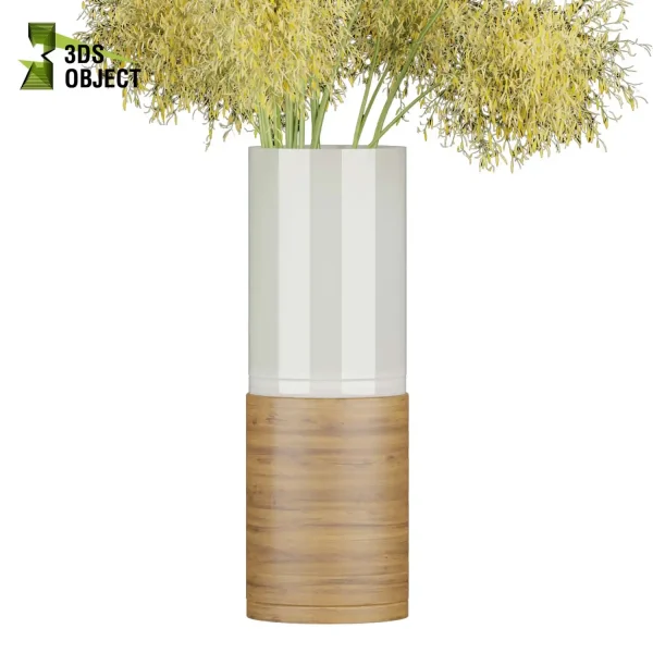 3d bouquet flower grass pampas plant models botanical Visualization Landscape Foliage Vegetation buy purchase Rendering Environment tree Design dried flower high low poly Haworthia concolor cinema 4d 3ds max blender enscpae fbx obj Rhino Sketchup lumion mimosa flower