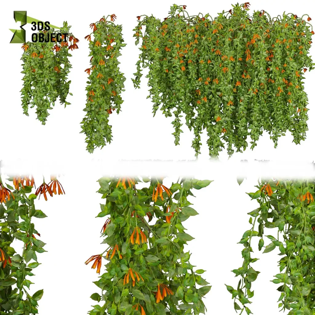 3d creeping ivy plant models in different variation