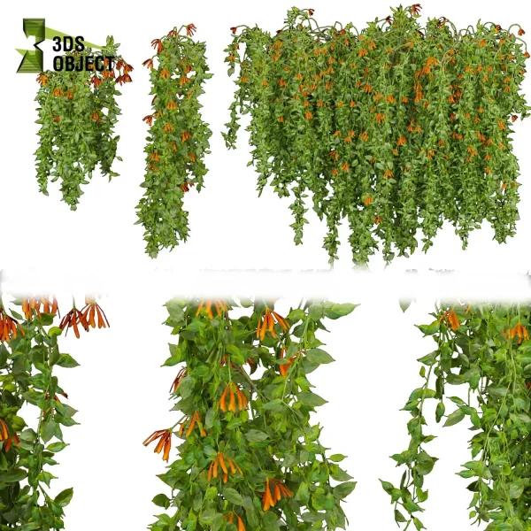 3d creeping ivy plant models botanical Visualization Landscape Foliage Vegetation buy purchase Rendering Environment tree Design high low poly Digital Ivy Design Virtual Ivy Creation Ivy Design Software cinema 4d 3ds max blender enscpae fbx obj Rhino Sketchup lumion