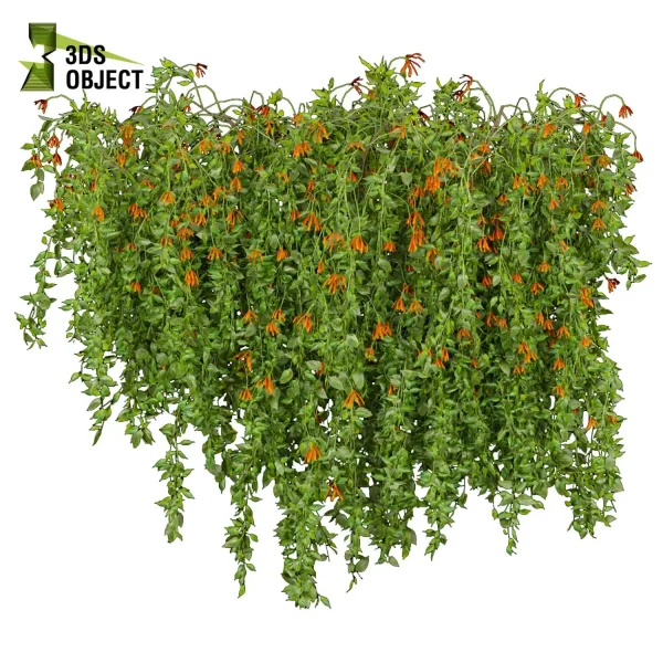 3d creeping ivy plant models botanical Visualization Landscape Foliage Vegetation buy purchase Rendering Environment tree Design high low poly Digital Ivy Design Virtual Ivy Creation Ivy Design Software cinema 4d 3ds max blender enscpae fbx obj Rhino Sketchup lumion