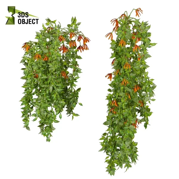 3d creeping ivy plant models botanical Visualization Landscape Foliage Vegetation buy purchase Rendering Environment tree Design high low poly Digital Ivy Design Virtual Ivy Creation Ivy Design Software cinema 4d 3ds max blender enscpae fbx obj Rhino Sketchup lumion