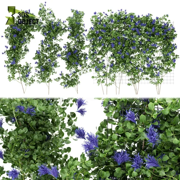 3d creeping ivy plant models botanical Visualization Landscape Foliage Vegetation buy purchase Rendering Environment tree Design high low poly dmodel dartist dsmax digitalart cinema 4d 3ds max blender enscpae fbx obj Rhino Sketchup lumion