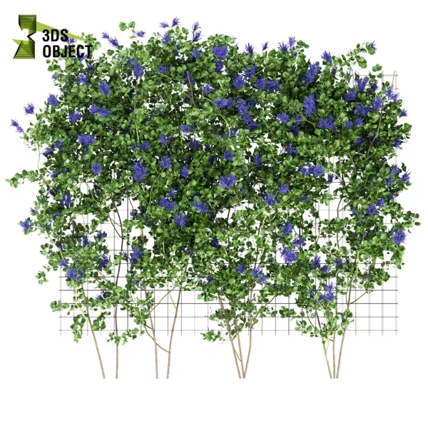 3d creeping ivy plant models botanical Visualization Landscape Foliage Vegetation buy purchase Rendering Environment tree Design high low poly dmodel dartist dsmax digitalart cinema 4d 3ds max blender enscpae fbx obj Rhino Sketchup lumion