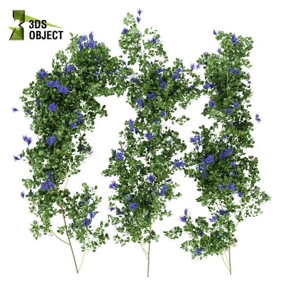 3d creeping ivy plant models botanical Visualization Landscape Foliage Vegetation buy purchase Rendering Environment tree Design high low poly dmodel dartist dsmax digitalart cinema 4d 3ds max blender enscpae fbx obj Rhino Sketchup lumion