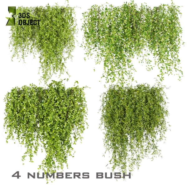 3d creeping ivy plant models botanical Visualization Landscape Foliage Vegetation buy purchase Rendering Environment tree Design high low poly 3D Tree Generator Landscape Design Software Foliage Rendering Digital Landscaping 3D Plant Creation cinema 4d 3ds max blender enscpae fbx obj Rhino Sketchup lumion