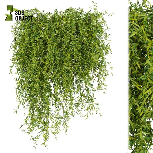 3d creeping ivy plant models botanical Visualization Landscape Foliage Vegetation buy purchase Rendering Environment tree Design high low poly 3D Tree Generator Landscape Design Software Foliage Rendering Digital Landscaping 3D Plant Creation cinema 4d 3ds max blender enscpae fbx obj Rhino Sketchup lumion