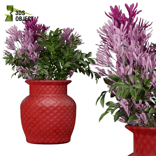 3d bouquet flower grass pampas plant models botanical Visualization Landscape Foliage Vegetation buy purchase Rendering Environment tree Design dried flower high low poly cinema 4d 3ds max blender enscpae fbx obj Rhino Sketchup lumion flower rose architecture interiordesign