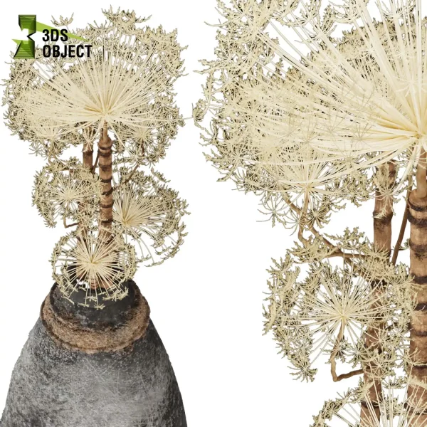 3d bouquet flower grass pampas plant models botanical Visualization Landscape Foliage Vegetation buy purchase Rendering Environment tree Design dried flower high low poly houseplant flowerpot simulator virtualdesign 3drendering rendering 3drender architecture Berenklauw gedroogd dried flowers cinema 4d 3ds max blender enscpae fbx obj Rhino Sketchup lumion