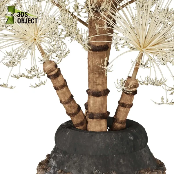 3d bouquet flower grass pampas plant models botanical Visualization Landscape Foliage Vegetation buy purchase Rendering Environment tree Design dried flower high low poly houseplant flowerpot simulator virtualdesign 3drendering rendering 3drender architecture Berenklauw gedroogd dried flowers cinema 4d 3ds max blender enscpae fbx obj Rhino Sketchup lumion