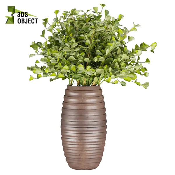 3d bouquet flower grass pampas plant models botanical Visualization Landscape Foliage Vegetation buy purchase Rendering Environment tree Design dried flower high low poly cinema 4d 3ds max blender enscpae fbx obj Rhino Sketchup lumion flower rose architecture interiordesign architectural