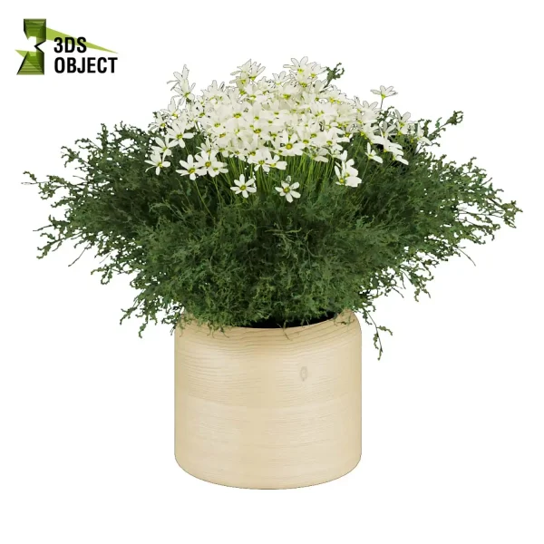 3d bouquet flower grass pampas plant models botanical Visualization Landscape Foliage Vegetation buy purchase Rendering Environment tree Design dried flower high low poly cinema 4d 3ds max blender enscpae fbx obj Rhino Sketchup lumion flower rose architecture interiordesign architectural