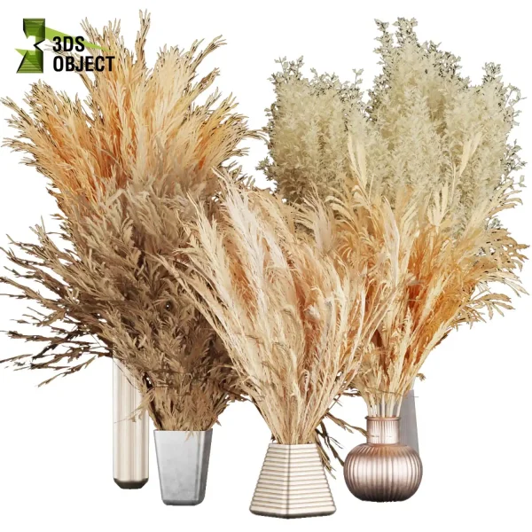 3d bouquet flower grass pampas plant models botanical Visualization Landscape Foliage Vegetation buy purchase Rendering Environment tree Design dried flower high low poly houseplant flowerpot simulator virtualdesign 3drendering rendering 3drender architecture Digital Flower Bouquets cinema 4d 3ds max blender enscpae fbx obj Rhino Sketchup lumion