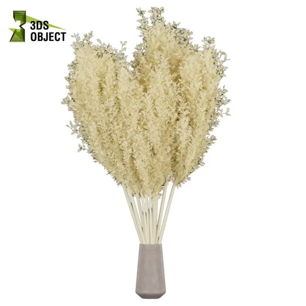 3d bouquet flower grass pampas plant models botanical Visualization Landscape Foliage Vegetation buy purchase Rendering Environment tree Design dried flower high low poly houseplant flowerpot simulator virtualdesign 3drendering rendering 3drender architecture Digital Flower Bouquets cinema 4d 3ds max blender enscpae fbx obj Rhino Sketchup lumion