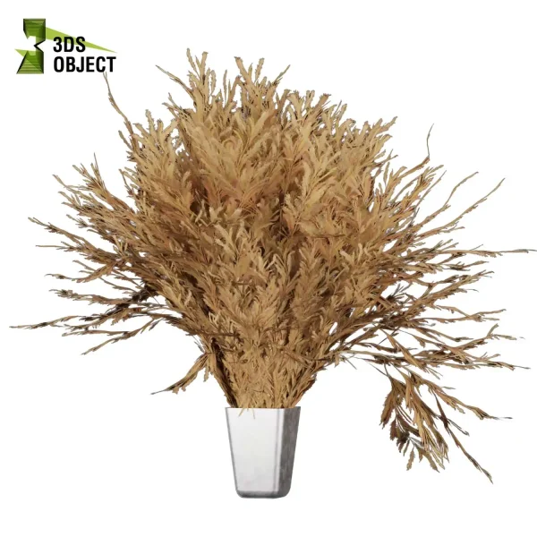 3d bouquet flower grass pampas plant models botanical Visualization Landscape Foliage Vegetation buy purchase Rendering Environment tree Design dried flower high low poly houseplant flowerpot simulator virtualdesign 3drendering rendering 3drender architecture Digital Flower Bouquets cinema 4d 3ds max blender enscpae fbx obj Rhino Sketchup lumion