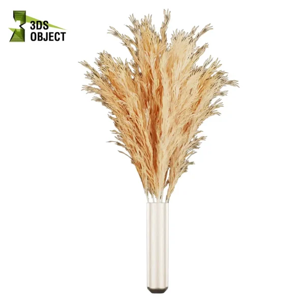 3d bouquet flower grass pampas plant models botanical Visualization Landscape Foliage Vegetation buy purchase Rendering Environment tree Design dried flower high low poly houseplant flowerpot simulator virtualdesign 3drendering rendering 3drender architecture Digital Flower Bouquets cinema 4d 3ds max blender enscpae fbx obj Rhino Sketchup lumion