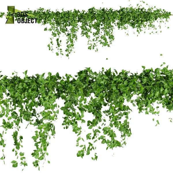 3d creeping ivy plant models botanical Visualization Landscape Foliage Vegetation buy purchase Rendering Environment tree Design high low poly cinema 4d 3ds max blender enscpae fbx obj Rhino Sketchup lumion architectural Ivy Design Software Ivy Rendering