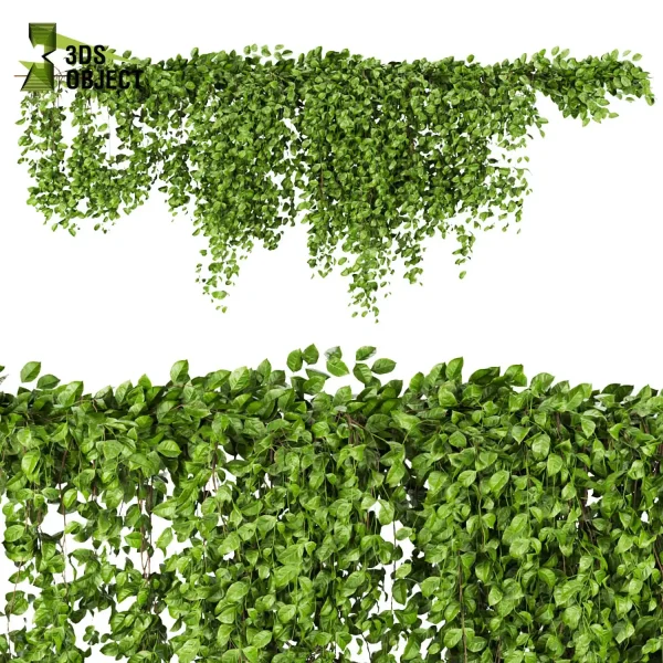 3d creeping ivy plant models botanical Visualization Landscape Foliage Vegetation buy purchase Rendering Environment tree Design high low poly cinema 4d 3ds max blender enscpae fbx obj Rhino Sketchup lumion architectural Ivy Design Software Ivy Rendering