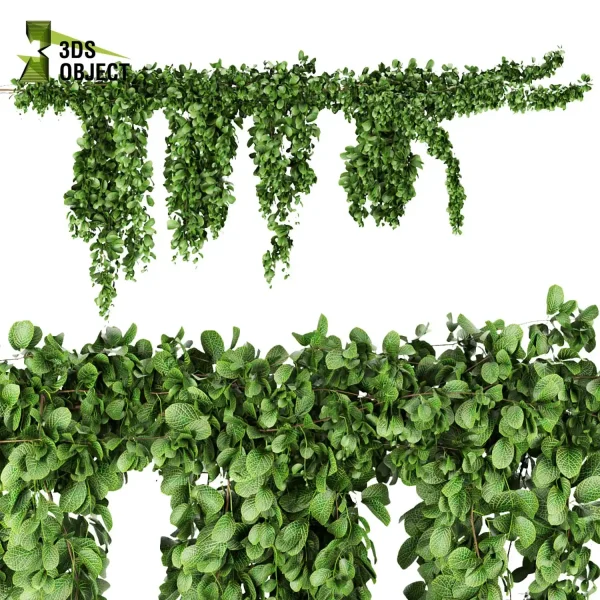 3d creeping ivy plant models botanical Visualization Landscape Foliage Vegetation buy purchase Rendering Environment tree Design high low poly cinema 4d 3ds max blender enscpae fbx obj Rhino Sketchup lumion architectural Ivy Design Software Ivy Rendering