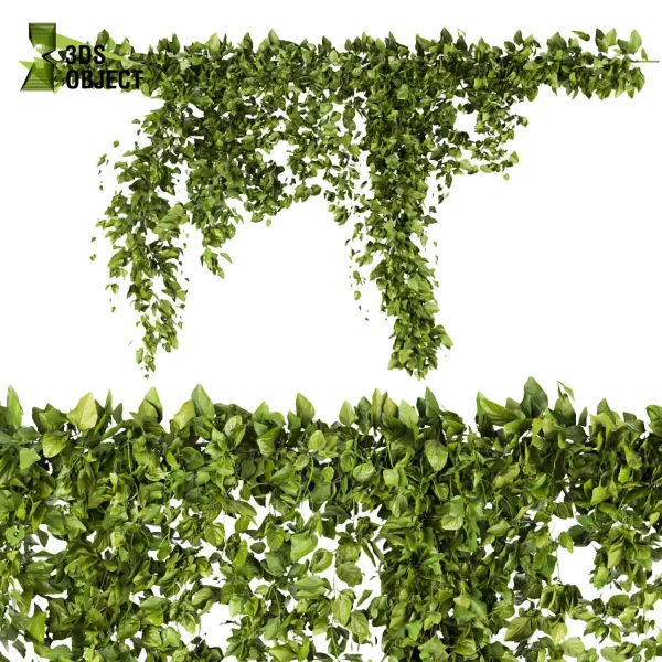 3d creeping ivy plant models botanical Visualization Landscape Foliage Vegetation buy purchase Rendering Environment tree Design high low poly cinema 4d 3ds max blender enscpae fbx obj Rhino Sketchup lumion architectural Ivy Design Software Ivy Rendering