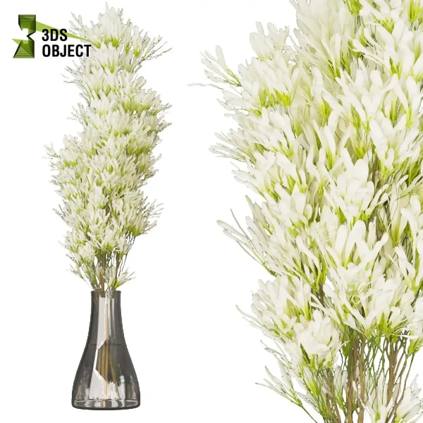 3d bouquet flower grass pampas plant models botanical Visualization Landscape Foliage Vegetation buy purchase Rendering Environment tree Design dried flower high low poly cinema 4d 3ds max blender enscpae fbx obj Rhino Sketchup lumion flower rose architecture interiordesign architectural