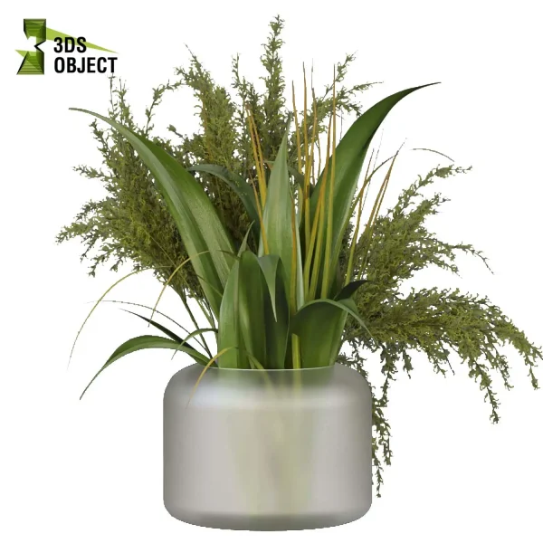 3d bouquet flower grass pampas plant models botanical Visualization Landscape Foliage Vegetation buy purchase Rendering Environment tree Design dried flower high low poly cinema 4d 3ds max blender enscpae fbx obj Rhino Sketchup lumion flower rose architecture interiordesign architectural