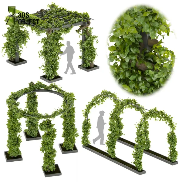3d creeping ivy plant models botanical Visualization Landscape Foliage Vegetation buy purchase Rendering Environment tree Design high low poly cinema 4d 3ds max blender enscpae fbx obj Rhino Sketchup lumion balcony decorative hamedorea