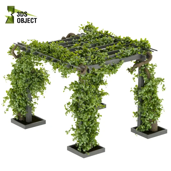 3d creeping ivy plant models botanical Visualization Landscape Foliage Vegetation buy purchase Rendering Environment tree Design high low poly cinema 4d 3ds max blender enscpae fbx obj Rhino Sketchup lumion balcony decorative hamedorea