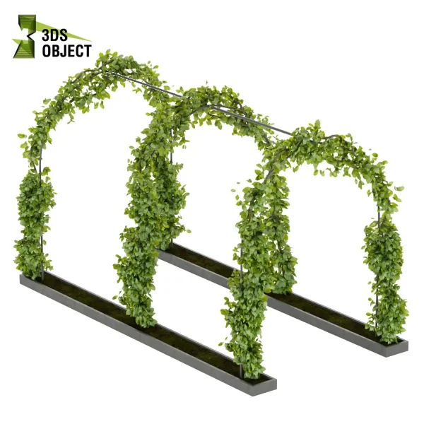 3d creeping ivy plant models botanical Visualization Landscape Foliage Vegetation buy purchase Rendering Environment tree Design high low poly cinema 4d 3ds max blender enscpae fbx obj Rhino Sketchup lumion balcony decorative hamedorea