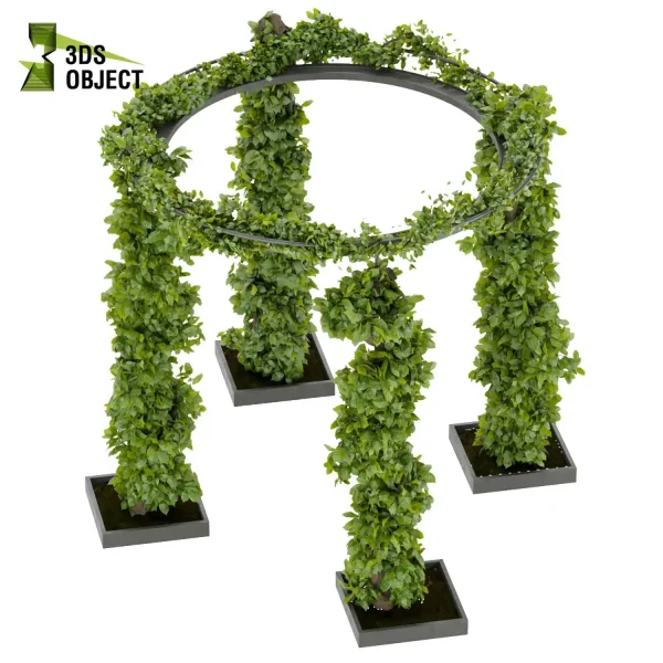3d creeping ivy plant models botanical Visualization Landscape Foliage Vegetation buy purchase Rendering Environment tree Design high low poly cinema 4d 3ds max blender enscpae fbx obj Rhino Sketchup lumion balcony decorative hamedorea