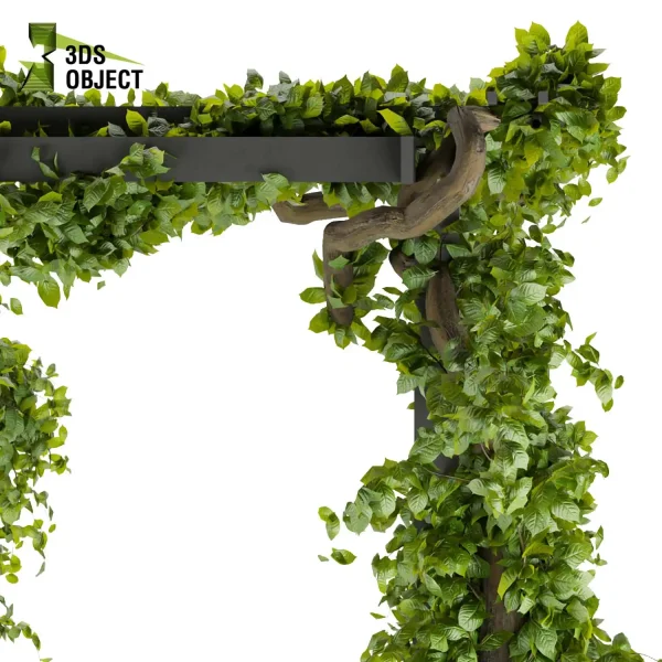 3d creeping ivy plant models botanical Visualization Landscape Foliage Vegetation buy purchase Rendering Environment tree Design high low poly cinema 4d 3ds max blender enscpae fbx obj Rhino Sketchup lumion balcony decorative hamedorea