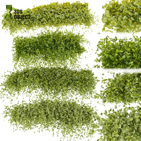 3d creeping ivy plant models botanical Visualization Landscape Foliage Vegetation buy purchase Rendering Environment tree Design high low poly cinema 4d 3ds max blender enscpae fbx obj Rhino Sketchup lumion buildingdesign architecturesimulation