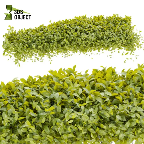 3d creeping ivy plant models botanical Visualization Landscape Foliage Vegetation buy purchase Rendering Environment tree Design high low poly cinema 4d 3ds max blender enscpae fbx obj Rhino Sketchup lumion buildingdesign architecturesimulation