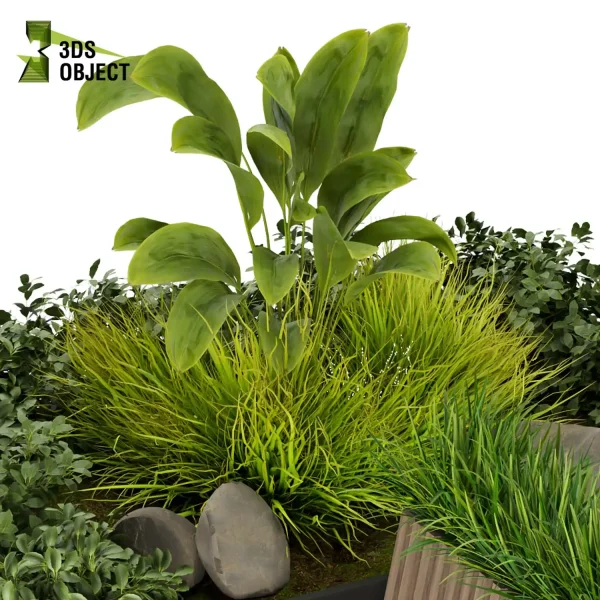 3d bouquet tree Urban environment plant models botanical Visualization Landscape Foliage Vegetation buy purchase Rendering tree Design dried flower high low poly cinema 4d 3ds max blender enscpae fbx obj Rhino Sketchup lumion grass bush bench