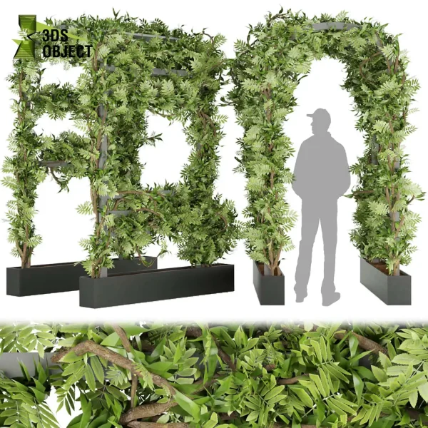3d creeping ivy plant models botanical Visualization Landscape Foliage Vegetation Rendering Environment tree Design high low poly pothos cinema 4d 3ds max blender enscpae fbx obj Rhino Sketchup lumion Landscape Vegetation 3D Plant Library Plant Generator Vegetation Rendering