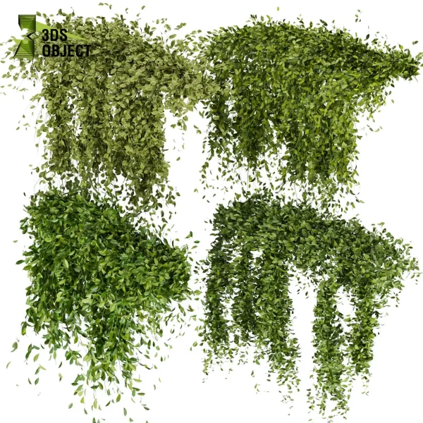 3d creeping ivy plant models botanical Visualization Landscape Foliage Vegetation buy purchase Rendering Environment tree Design high low poly 3D architectural visualization cinema 4d 3ds max blender enscpae fbx obj Rhino Sketchup lumion Creeping ivy buy