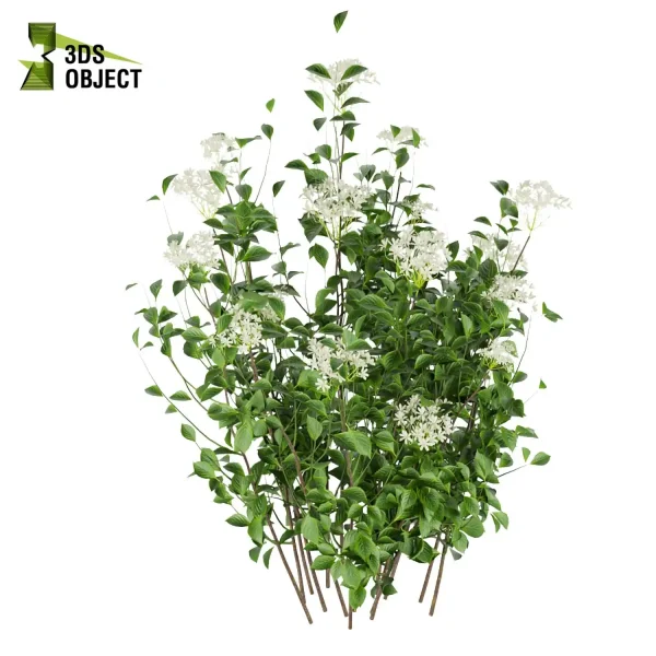 3d bush plant models botanical Visualization Landscape Foliage Vegetation buy purchase Rendering Environment tree Design high low poly hydrangea serrata 3D Bush Models Bush Plant Assets cinema 4d 3ds max blender enscpae fbx obj Rhino Sketchup lumion