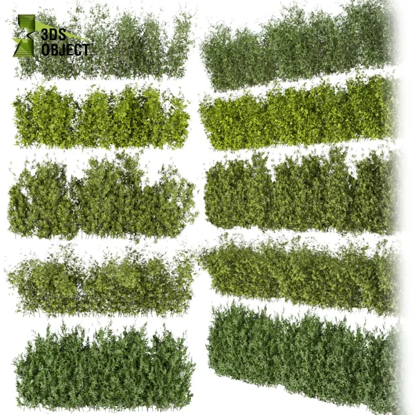 3d bush plant models botanical Visualization Landscape Foliage Vegetation buy purchase Rendering Environment tree Design high low poly Ficus bush ficus altissima 3D architectural visualization cinema 4d 3ds max blender enscpae fbx obj Rhino Sketchup lumion