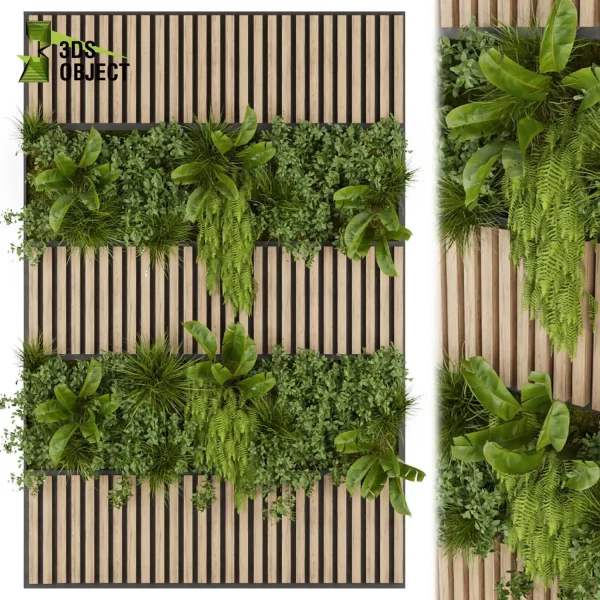 3d vertical fitowall plant models botanical Visualization Landscape Foliage Vegetation buy purchase Rendering Environment tree Design high poly Bush ivy fern banana cinema 4d 3ds max blender enscpae fbx obj Rhino Sketchup lumion architectural