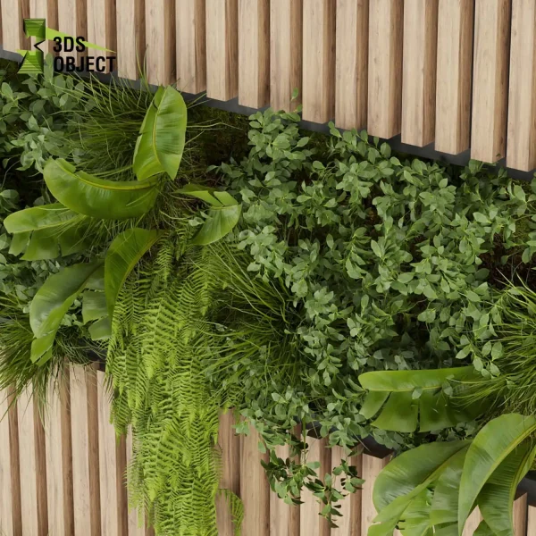 3d vertical fitowall plant models botanical Visualization Landscape Foliage Vegetation buy purchase Rendering Environment tree Design high poly Bush ivy fern banana cinema 4d 3ds max blender enscpae fbx obj Rhino Sketchup lumion architectural