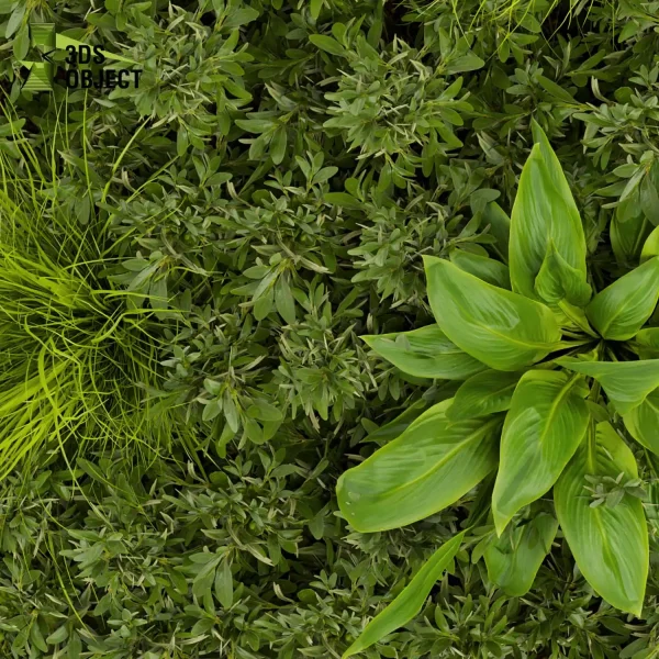 3d vertical fitowall plant models botanical Visualization Landscape Foliage Vegetation buy purchase Rendering Environment tree Design high poly Bush ivy vertical paradise grass Botanical Simulation Plant Visualization Vegetation Modeling cinema 4d 3ds max blender enscpae fbx obj Rhino Sketchup lumion