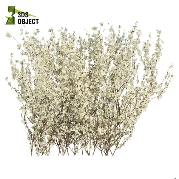 3d bush plant models botanical Visualization Landscape Foliage Vegetation buy purchase Rendering Environment tree Design high low poly blackthorn prunus spinosa cinema 4d 3ds max blender enscpae fbx obj Rhino Sketchup lumion virtualdesign architecturevisualization architectural