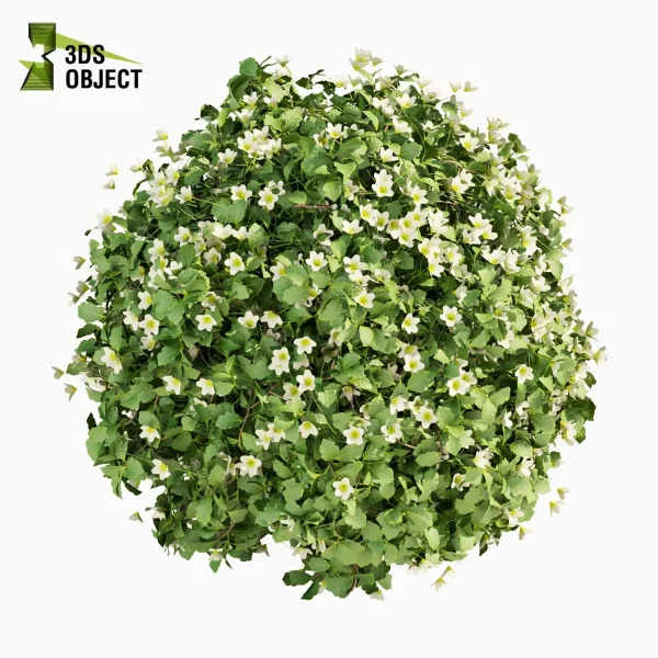 3d bush plant models botanical Visualization Landscape Foliage Vegetation buy purchase Rendering Environment tree Design high low poly philadelphus cinema 4d 3ds max blender enscpae fbx obj Rhino Sketchup lumion