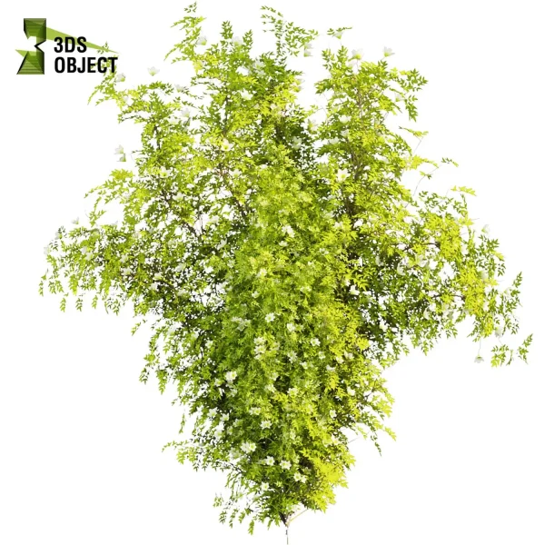 3d creeping ivy plant models botanical Visualization Landscape Foliage Vegetation buy purchase Rendering Environment tree Design high low poly vegetation modeling tool botanical architecture simulator cinema 4d 3ds max blender enscpae fbx obj Rhino Sketchup lumion