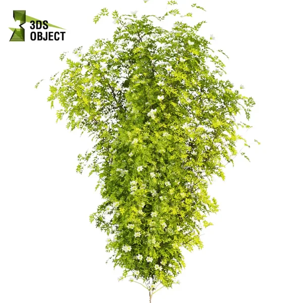 3d creeping ivy plant models botanical Visualization Landscape Foliage Vegetation buy purchase Rendering Environment tree Design high low poly vegetation modeling tool botanical architecture simulator cinema 4d 3ds max blender enscpae fbx obj Rhino Sketchup lumion