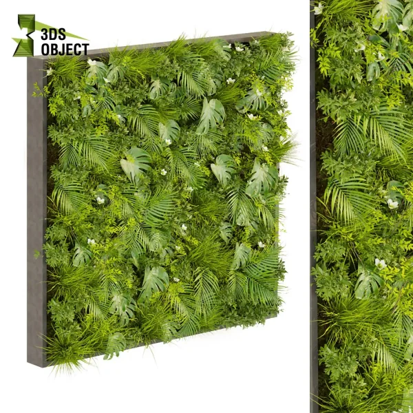 3d vertical fitowall plant models botanical Visualization Landscape Foliage Vegetation buy purchase Rendering Environment tree Design high poly Ivy monstera palm bush grass cinema 4d 3ds max blender enscpae fbx obj Rhino Sketchup lumion