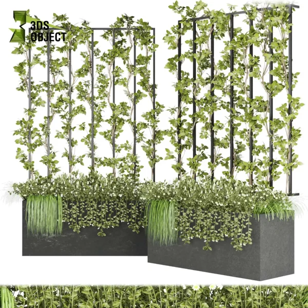 3d creeping ivy plant models botanical Visualization Landscape Foliage Vegetation Rendering Environment tree Design high low poly pothos cinema 4d 3ds max blender enscpae fbx obj Rhino Sketchup lumion Landscape Vegetation 3D Plant Library Plant Generator Vegetation Rendering