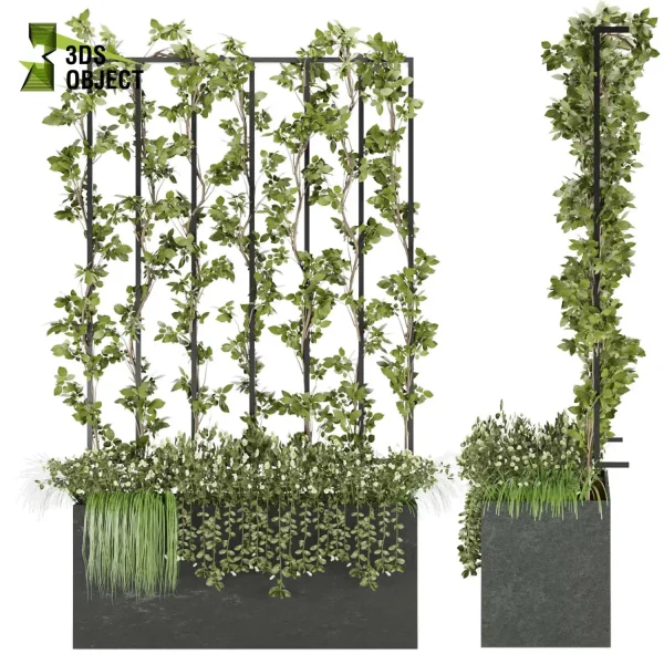 3d creeping ivy plant models botanical Visualization Landscape Foliage Vegetation Rendering Environment tree Design high low poly pothos cinema 4d 3ds max blender enscpae fbx obj Rhino Sketchup lumion Landscape Vegetation 3D Plant Library Plant Generator Vegetation Rendering