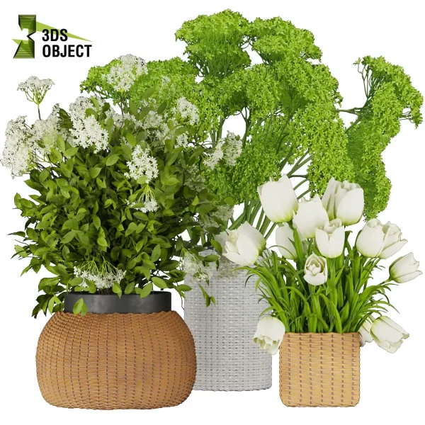 3d bouquet flower grass pampas plant models botanical Visualization Landscape Foliage Vegetation buy purchase Rendering Environment tree Design dried flower high low poly cinema 4d 3ds max blender enscpae fbx obj Rhino Sketchup lumion flower rose architecture interiordesign architectural