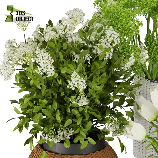 3d bouquet flower grass pampas plant models botanical Visualization Landscape Foliage Vegetation buy purchase Rendering Environment tree Design dried flower high low poly cinema 4d 3ds max blender enscpae fbx obj Rhino Sketchup lumion flower rose architecture interiordesign architectural