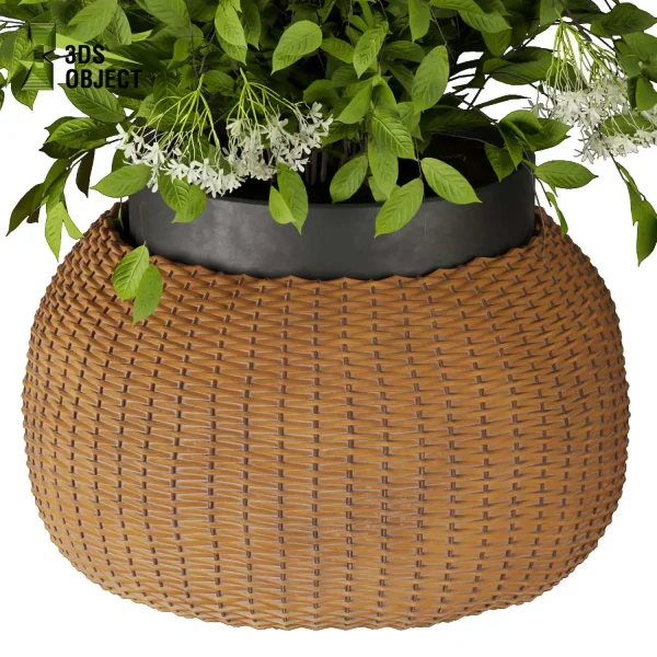 3d bouquet flower grass pampas plant models botanical Visualization Landscape Foliage Vegetation buy purchase Rendering Environment tree Design dried flower high low poly cinema 4d 3ds max blender enscpae fbx obj Rhino Sketchup lumion flower rose architecture interiordesign architectural